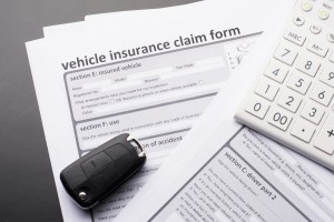 Vehicle Insurance Claim Form